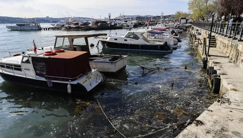 İstanbul'da Müsilaj Alarmı: Denizdeki Tehlike Geri Döndü