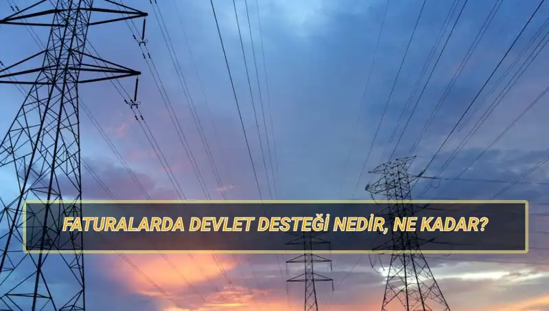 2025 Yılında Doğalgaz ve Elektrik Faturası İçin Devlet Desteği Beklentileri