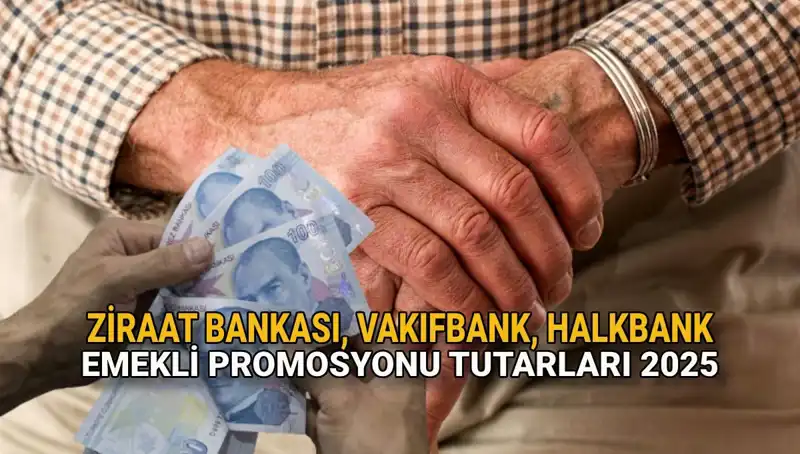 2025 Yılında Kamu Bankalarında Emekli Promosyonları: Hangi Fırsatlar Var?