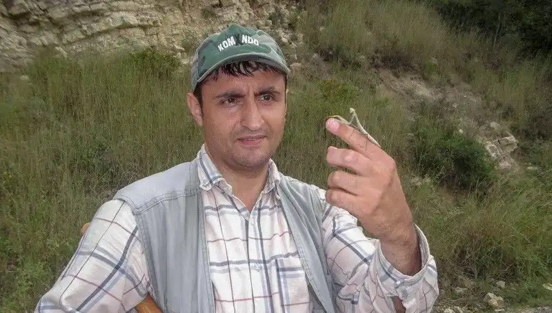 Yeni Bulunan Böcek Türüne Eşinin Adını Veren Bilim İnsanı Tepkilerle Yüzleşiyor