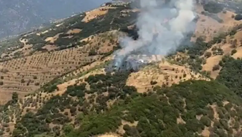 Aydın'da Yangın Korkusu: Zeytinlik Alanları Alev Alev Yandı