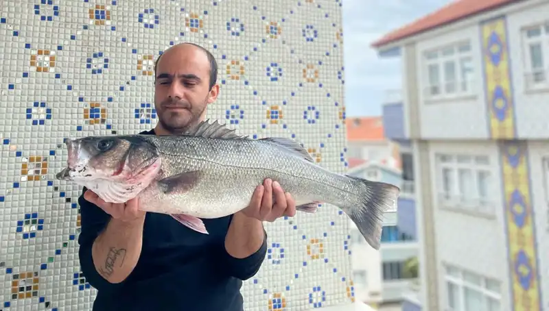 7,5 Kiloluk Dev Levrek, Balıkçıları Şaşırttı! Rekor Avın Hikayesi