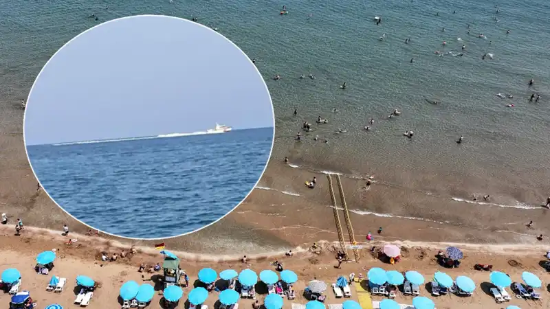 Plajda Köpek Balığı Panik Atlattı: Güvenlik Tedbirleri Vurgulanıyor