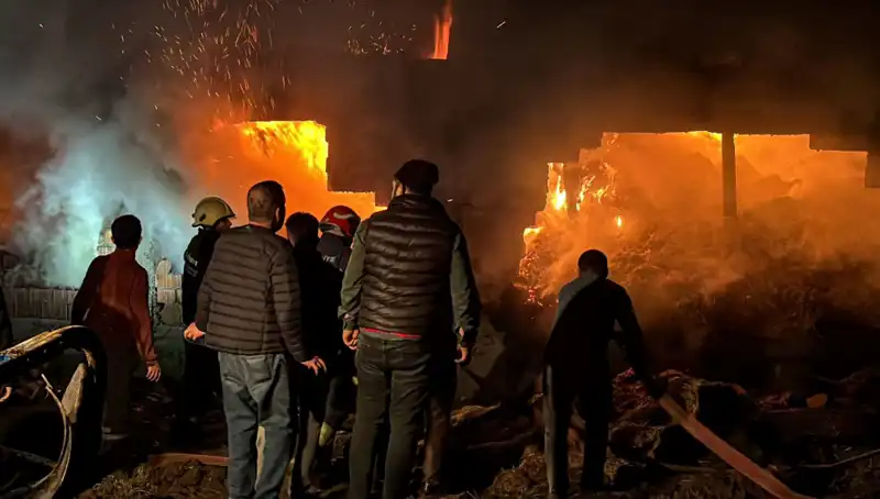 Bolu'da Korkutan Ahır Yangını: Hayvanlar Tehlikede!