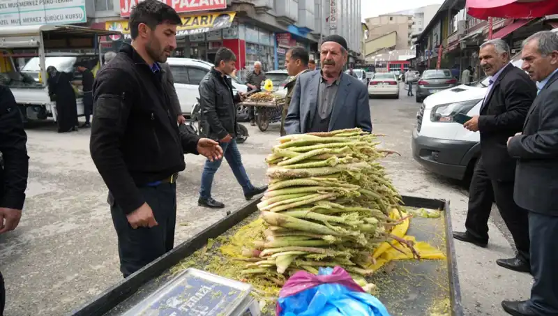 Dağların Şifalı İkramı: Şeker İle Kanser ve Mide Rahatsızlıklarına Karşı Yeni Umut