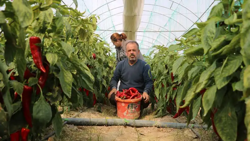 Fiyat Artışları Şaşırtıyor: Ürün Fiyatı Yüzde 50 Zamlandı!