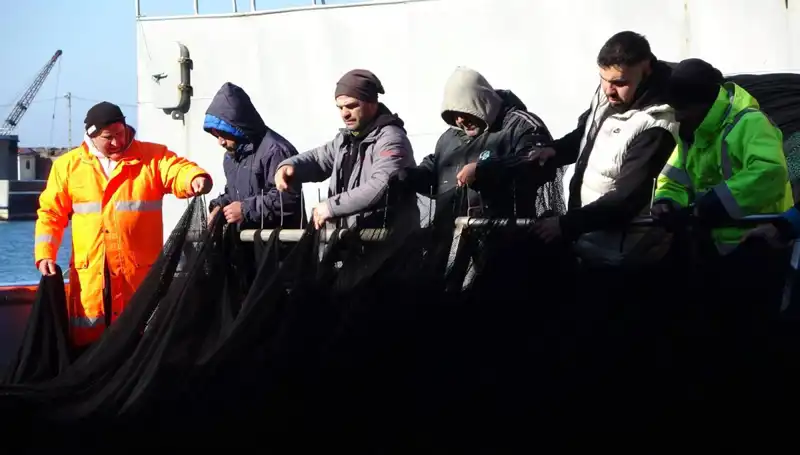 Hamsi Avında Hayal Kırıklığı: Balıkçılar Üzgün, Tekneler Erken Dönüş Yaptı