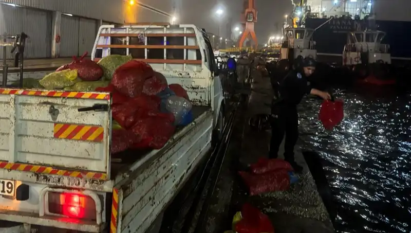 Kaçak Midye Ticareti Alev Alev: Denizdeki Operasyonlarla 25 Ton Midye Ele Geçirildi
