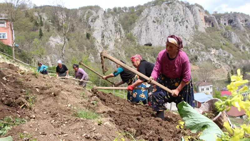Zorlu Mesai Başladı: Sırtlarda Sepet, Eller de Kazmalarla Mücadele