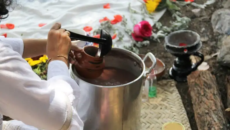 Ayahuasca: Gizemli Çay ve Dünya Üzerindeki Etkileri
