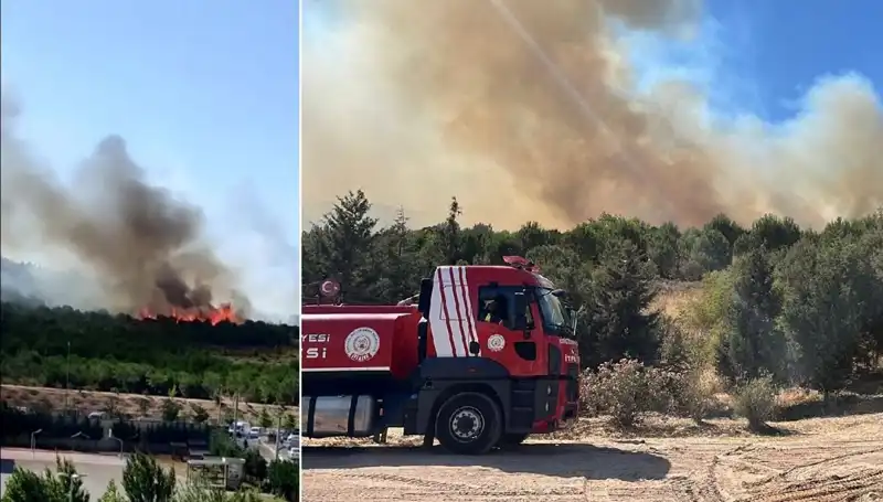 Gebze'de Diken Üstünde Bekleyen Yangın, Doğayı Tehdit Ediyor!