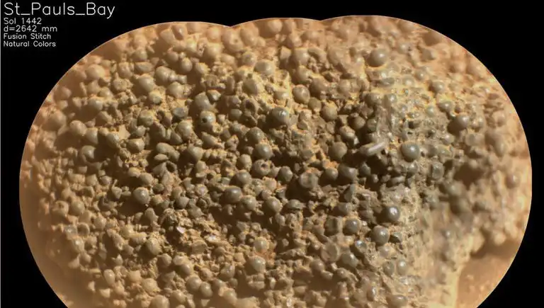 Mars'ta Gizemli "Örümcek Yumurtaları" Keşfi: Bilim Dünyasını Şaşırttı!