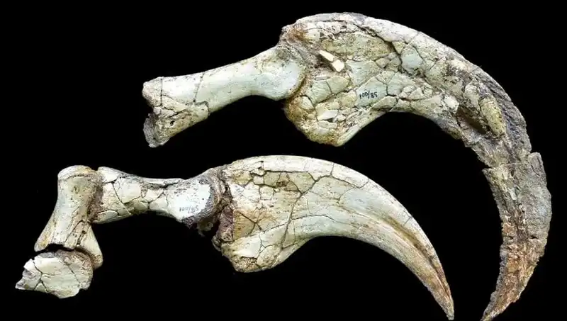 Gobi Çölü'nde Keşfedilen İki Parmaklı Dinozor Türü Bilim Dünyasını Sarsacak!