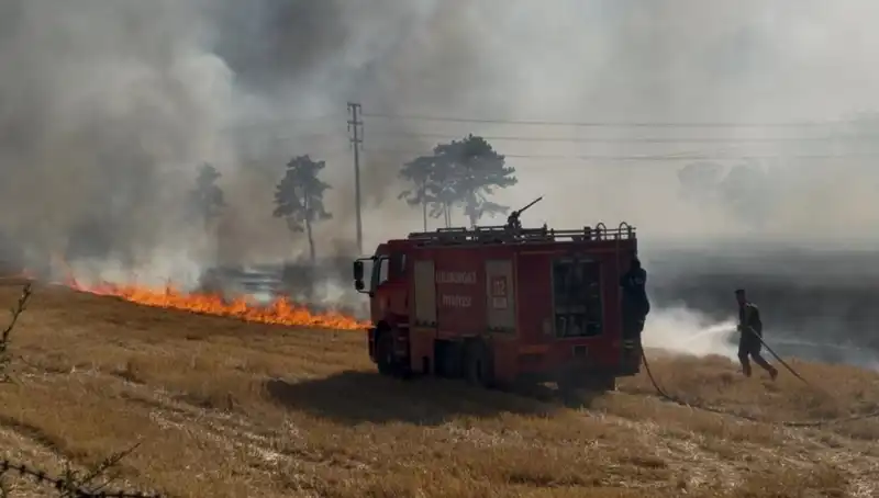 Kırklareli'nde Anız Yangını: Doğaya Verilen Zarar ve Önlemler