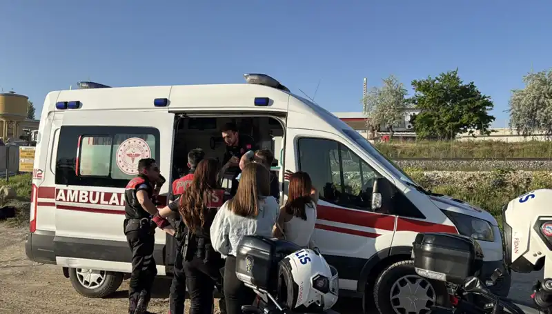 Hayatta Kalma Mücadelesi: Arkadaşının Uzattığı Dal ile Yeni Bir Başlangıç