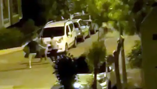 Avcılar'da Korkunç Saldırı: Vatandaş Bir grup Tarafından Kurtarıldı