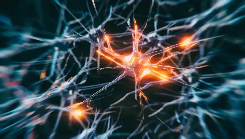 Alzheimer Vakaları Neden Artıyor? Bilimsel Veriler ve Yeni Yaklaşımlar
