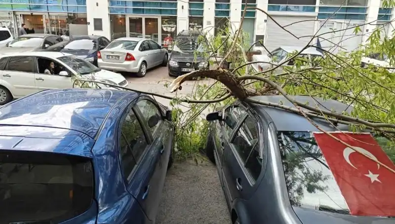 Kayseri’de Fırtına Dalları Kırdı: Kentte Yaşanan Hasar ve Önlemler