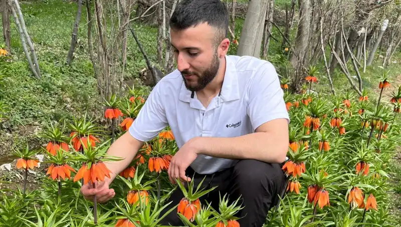 Hızla Tükenen Bir Doğa Mucizesi: Ağlayan Gelin’e Dikkat!