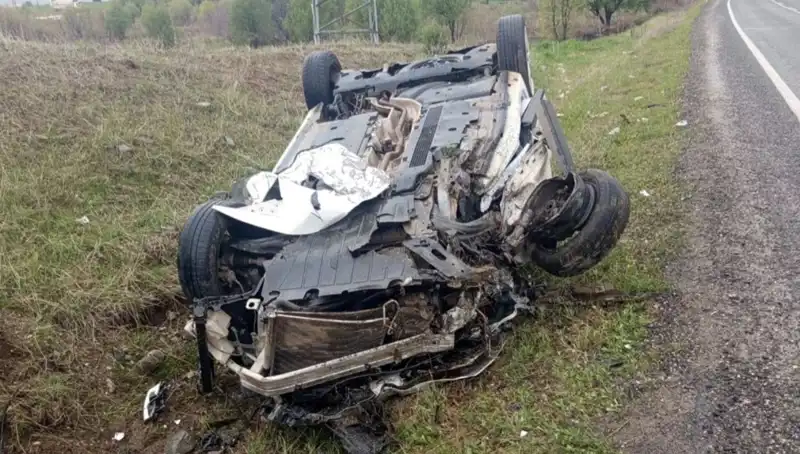 Yola Fırlayan Domuz Trafik Kazasına Sebep Oldu: 1 Ölü, 6 Yaralı