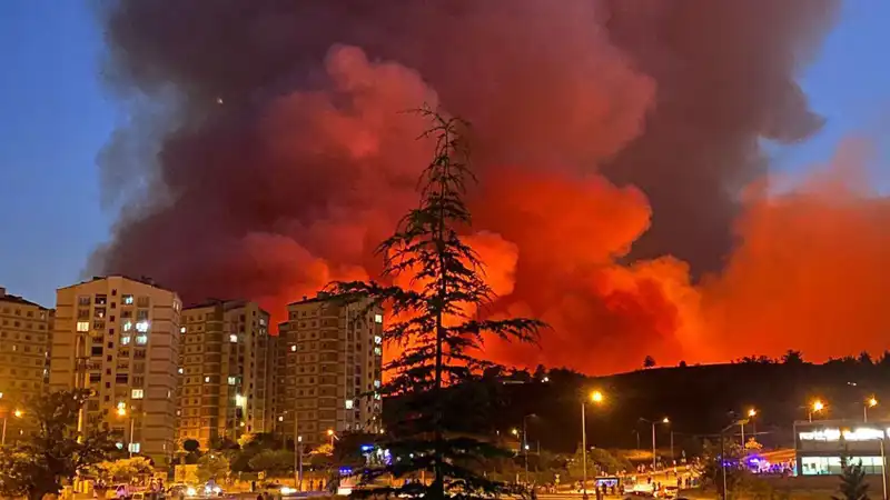 Bursa'da Yangın Alarmı: Şehir Çevresinde Alevler Korkutuyor