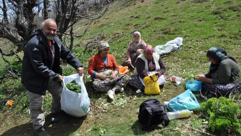 Yürüyüşle Gelir Elde Eden Aileler: Kilosu 250 Lira Olan Nadir Bir Hazine