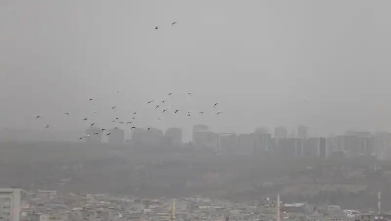 Şanlıurfa’da Beklenmedik Toz Fırtınası Hayatı Olumsuz Etkiledi