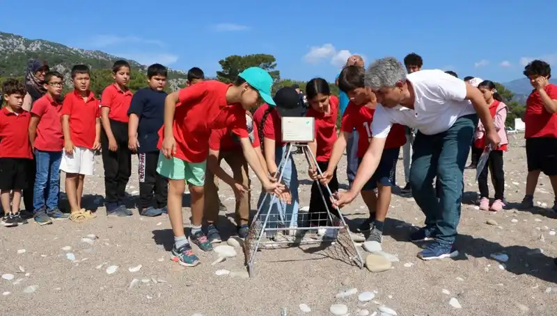 Kemer'de Caretta Caretta Koruma Yasakları Başladı: Plajlar Kapandı!