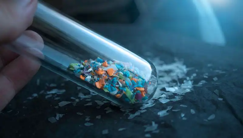 Mikroplastikler Beynimiz İçine Kadar Sızdı: Sağlığımızı Tehdit Ediyor!