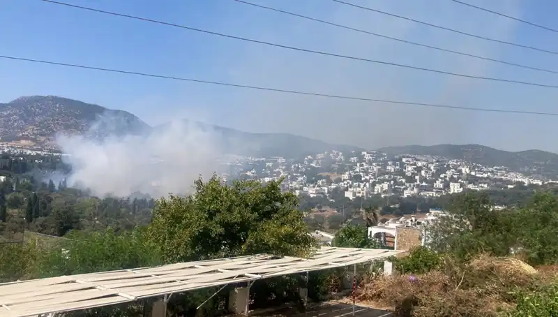 Muğla Orman Yangınları Kontrol Altında, Vatandaşlar Rahat Nefes Alıyor