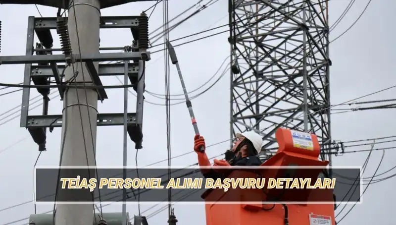 TEİAŞ Personel Alımında Yeni Fırsatlar: Başvuru Tarihleri ve Şartlar Açıklandı