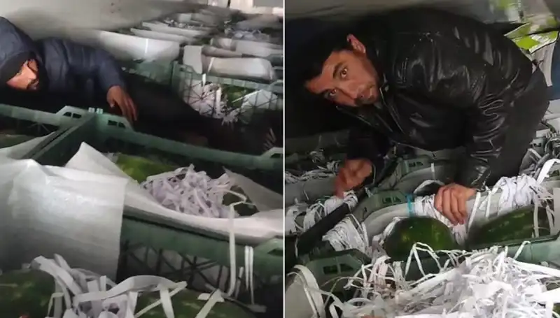 Karpuzların İçinden Yola Çıkan Göçmenler: Sıradışı Sığınma Süreci