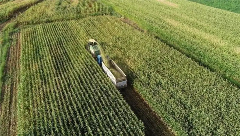 Mart 2025 Mazot ve Gübre Desteği Ödemeleri İçin Tarih Beklentisi