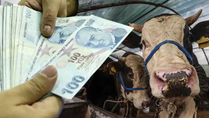 Bayram Öncesi Memur ve Emekli Maaşları Yatacak mı? Erken Ödeme Beklentisi