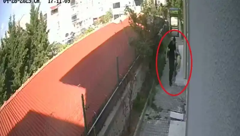 Hayvansever Doktorun Korkunç İtirafı: Evdeki Köpekleri Parçalamış!