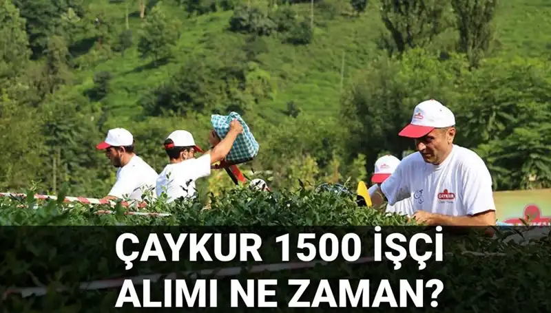 Çaykur İşçi Alımı Başvuru Tarihleri ve Süreçteki Gelişmeler