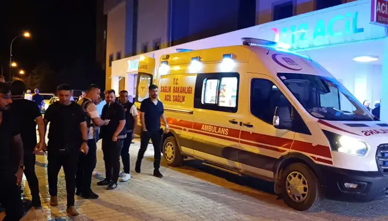 Kardeşini Kurtarmak İstedi, Hayatı Feci Şekilde Değişti